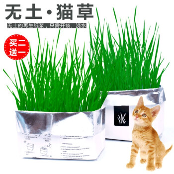 无土懒人猫草水培种植套装宠物猫咪用品帮猫化毛吐毛球种子种植盒无土猫草均码 价格 品牌 报价 1号店