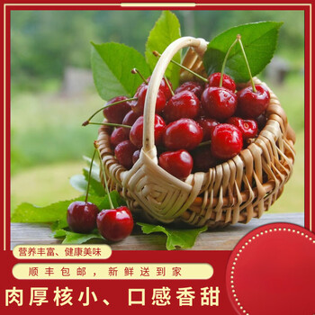 nessa云南现摘现发车厘子山东大樱桃新鲜水果23斤yq1500gj26mm含28mm