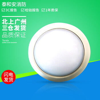 泰和安集中电源控制型消防应急照明灯具吸顶嵌墙式疏散照明指示灯 ts