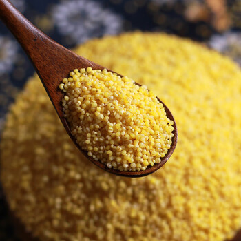 黄米>谷耘滇(guyundian)>谷耘滇(guyundian)黄小米5斤粘糯新米米脂