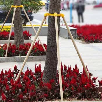 树木支撑架花木支撑绿化移栽大树固定器套杯苗木三脚支撑架支撑杆
