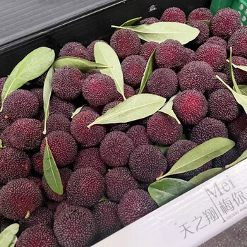 现货云南高山东魁杨梅正宗黑炭4斤礼盒装味鲜多汁新鲜包装随机发4斤