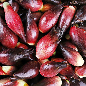 寻味君 阳荷姜 新鲜洋荷姜 嫩姜和胡姜 2斤装