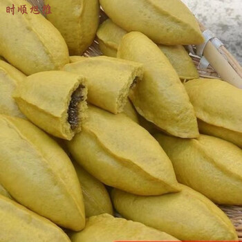 维霆镇雄手工荞粑粑猪儿粑苦荞粑粑真空包酥麻包心 镇雄猪儿粑20个