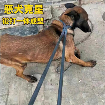 卡夫威尔抓狗神器夹子手工打造捉狗狗钳猫钳捕猫笼人道捕狗钳诱捕器抓