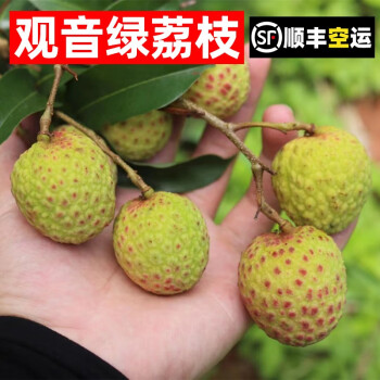 【順豐空運】廣西靈山荔枝 新鮮水果 觀音綠荔枝-3斤裝【圖片 價格 品