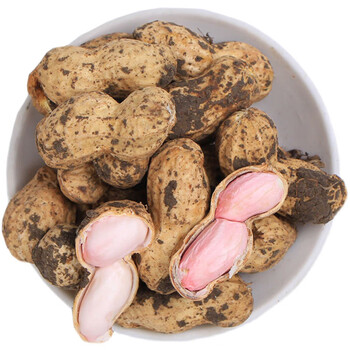 朗小贝新鲜带壳干花生农家自种粉红皮水煮花生带壳5斤 带壳干生花生5