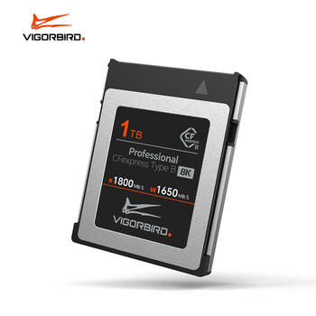 VIGORBIRD Cfexpress存储卡XQD卡CFE Type B相机高速内存卡SD储存卡尼康存储卡 迅猛龙 1TB