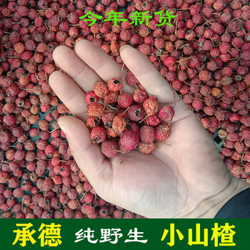 xywlkj承德特产纯野生山楂500g天然野生山楂干山里红干煮茶消食1斤