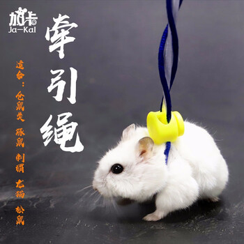 仓鼠松鼠貂牵引绳豚鼠荷兰猪龙猫仓鼠熊熊溜鼠绳 牵引绳外出绳 牵引绳