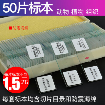 萨伽（SAGA）生物显微镜标本切片套装载玻片盖玻片植物动物昆虫细胞儿童实验 50片装