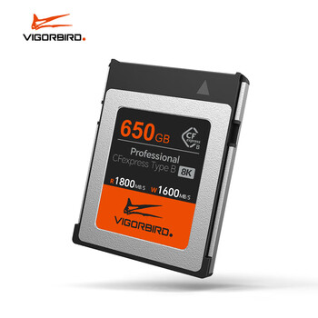 VIGORBIRD Cfexpress存储卡XQD卡CFE Type B相机高速内存卡高速尼康佳能专用存储卡 霸王龙 650GB