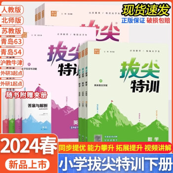 2024春拔尖特训小学一二三四五六年级下册 自选 教材全解全练课时优化作业本一课一练