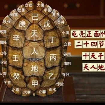 琉滋六爻卜龟壳卦文玩天然真乌龟壳手把件摆件龟甲摆件玄关定制简约网 5厘米左右【图片 价格 品牌 报价】-京东