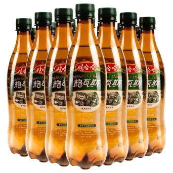 娃哈哈格瓦斯600ml*24瓶麦芽汁发酵俄罗斯风味夏季冰爽碳酸饮料 新货