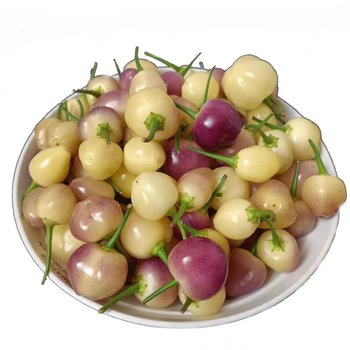 茗仟广西特产新鲜七彩椒辣椒五彩椒泡椒灯笼椒剁椒五色小米辣5斤