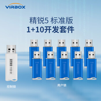 深思数盾精锐5加密狗加密锁  开发套件1控制锁10 U盘用户锁首次必购license授权管控 软件授权保护 标准款1+10开发套件