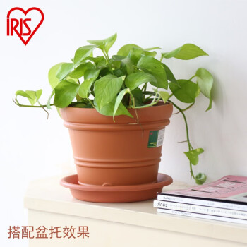 爱丽思 彩色树脂仿陶花盆 多肉盆栽花卉加厚圆形室内阳台办公室种植盆 8号米白-口径23.9cm