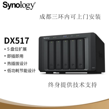 群晖（Synology）四川成都实体店 DX517 5盘位NAS网络存储服务器扩充设备 DX517 配5块希捷银河4TB-20TB版