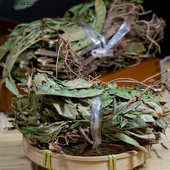 一斤野生中草药材葫芦茶田刀柄咸鱼草狗舌犁葫芦茶500克