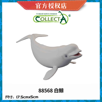 COLLECTA【Oceans&Ice海洋生物】CollectA动物模型 早教认知 生日礼物 88568 白鲸
