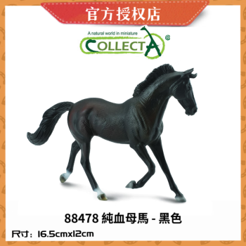 COLLECTA【Horse-Country骏马王国】动物模型 早教认知 独角兽 马匹摆件 88478 纯血母马- 黑色