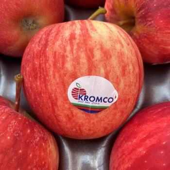 南非进口冰糖小苹果当季时令新鲜水果嘎啦富士加力牛顿苹果5斤