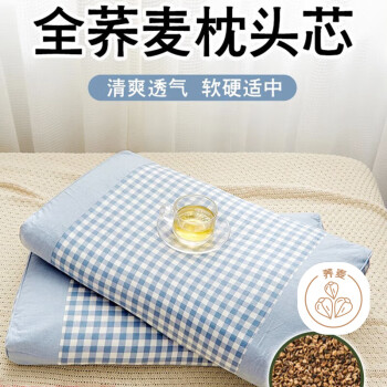 艾薇儿童枕头6-12岁荞麦枕头荞麦皮枕头枕芯颈椎枕 浅蓝 一只装