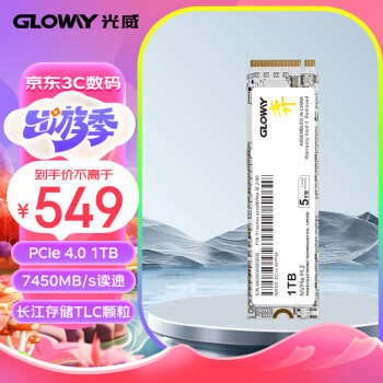 光威（Gloway）1TB SSD固态硬盘 M.2接口(NVMe协议) PCIe 4.0×4  长江存储TLC颗粒 弈系列