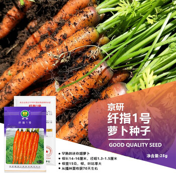 京农研萝卜种子京研胡萝卜水果樱桃萝卜沙窝青萝卜心里美易种蔬菜种籽