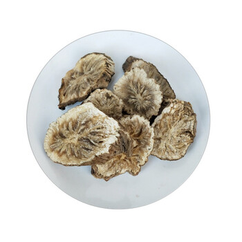 菊苣根茶500g兰菊根片菊巨根长白山野生玉兰根苦苣根蓝菊根