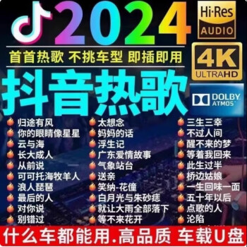 抖音U盘推荐=抖音音乐u盘项目值得做不?