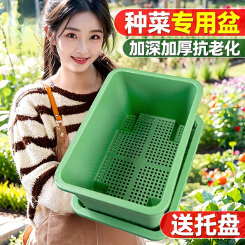 京悠雨德国品质阳台长方形塑料花盆蔬菜种植神器家庭种植箱草莓盆专用箱 【果绿色】加厚加深种菜专用盆1 塑料 x 超大容量