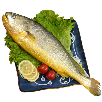 顺丰山东青岛新鲜野生大黄花鱼冷冻蒜瓣肉深海鱼海鲜水产 3条 约1.5kg