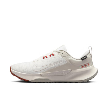NIKE耐克女鞋新款运动鞋跑步鞋休闲鞋FD4621-181 D