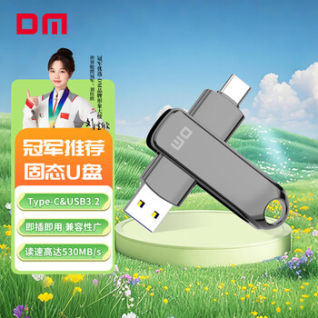 DM大迈 256GB USB3.2 Type-C 高速固态U盘 FS530 手机电脑两用u盘金属车载优盘 读530MB/s