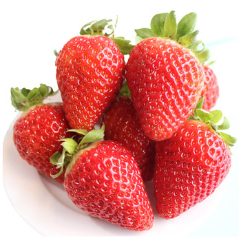5kg 单果约40-50g 新鲜红颜奶油草莓冬季新鲜水果 生鲜品 新鲜