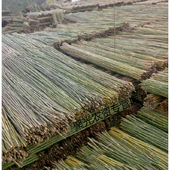痩竹竿豆角竹架护栏种花架菜园搭菜西红柿爬藤架蔬菜搭架黄瓜架2厘米