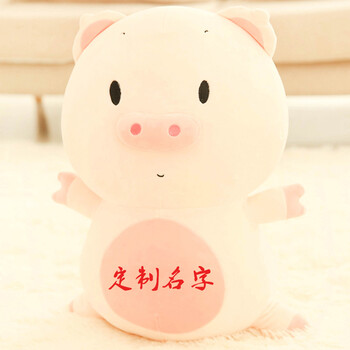 公仔睡觉抱枕女孩玩偶娃娃生日礼物猪 抱抱猪睁眼款《可定制名字》