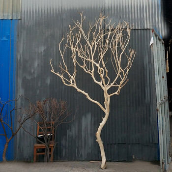 2019 干树枝干枝树去皮树摆件枯树杆室内造型树假树仿真装饰树sn3703