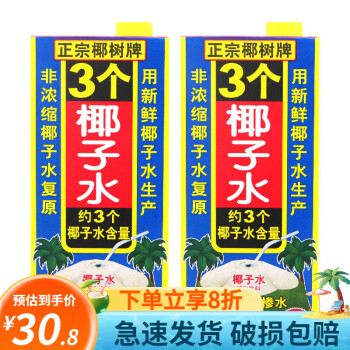 椰树椰子水1L*2盒装纯椰子水1升大瓶椰子水植物饮料补充水分夏季饮料 椰树椰子水1L*2盒