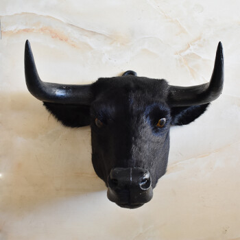 仿真牛头牦牛头黄牛头动物头壁挂挂饰墙挂酒吧客厅家居装饰 黑牛头