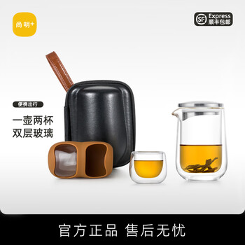 尚明（SAMADOYO） 玻璃快客杯一壶二杯旅行套装简易过滤玻璃泡茶壶户外车载茶具 一壶两杯（PU皮）白色