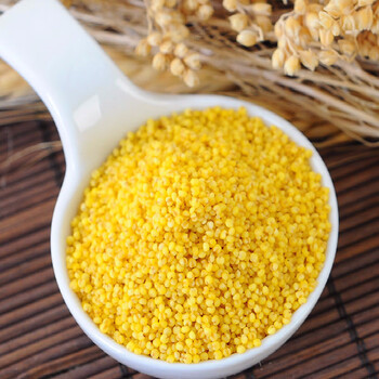 东北黄小米2.5kg(5斤)杂粮农家小黄米粥朝阳特产