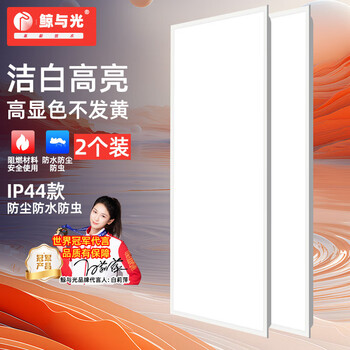 鲸与光 集成吊顶灯led嵌入式灯平板灯 面板灯办公室照明灯嵌入式灯石膏板扣板灯 30*60cm白光40W 2个装