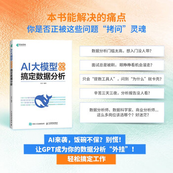 AI大模型助你轻松搞定数据分析 大模型应用开发deepseek人工智能数据分析大语言模型 异步图书出品封面