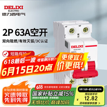 德力西电气空开微型断路器空气开关家用DZ47s 2P 63A