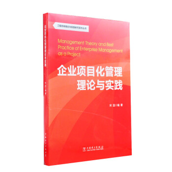 工程咨询理论与实践研究系列丛书：企业项目化管理理论与实践