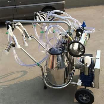 真空脉动脉冲式牛用羊用利拉伐挤奶机挤奶牛器奶羊吸奶机吸羊奶器 双