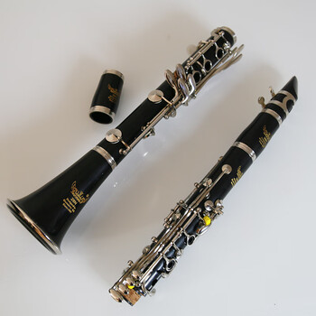 ROFFEE德国罗菲单簧管经典A306降B调黑管乐器17键初学入门考级单簧管 胶木26N